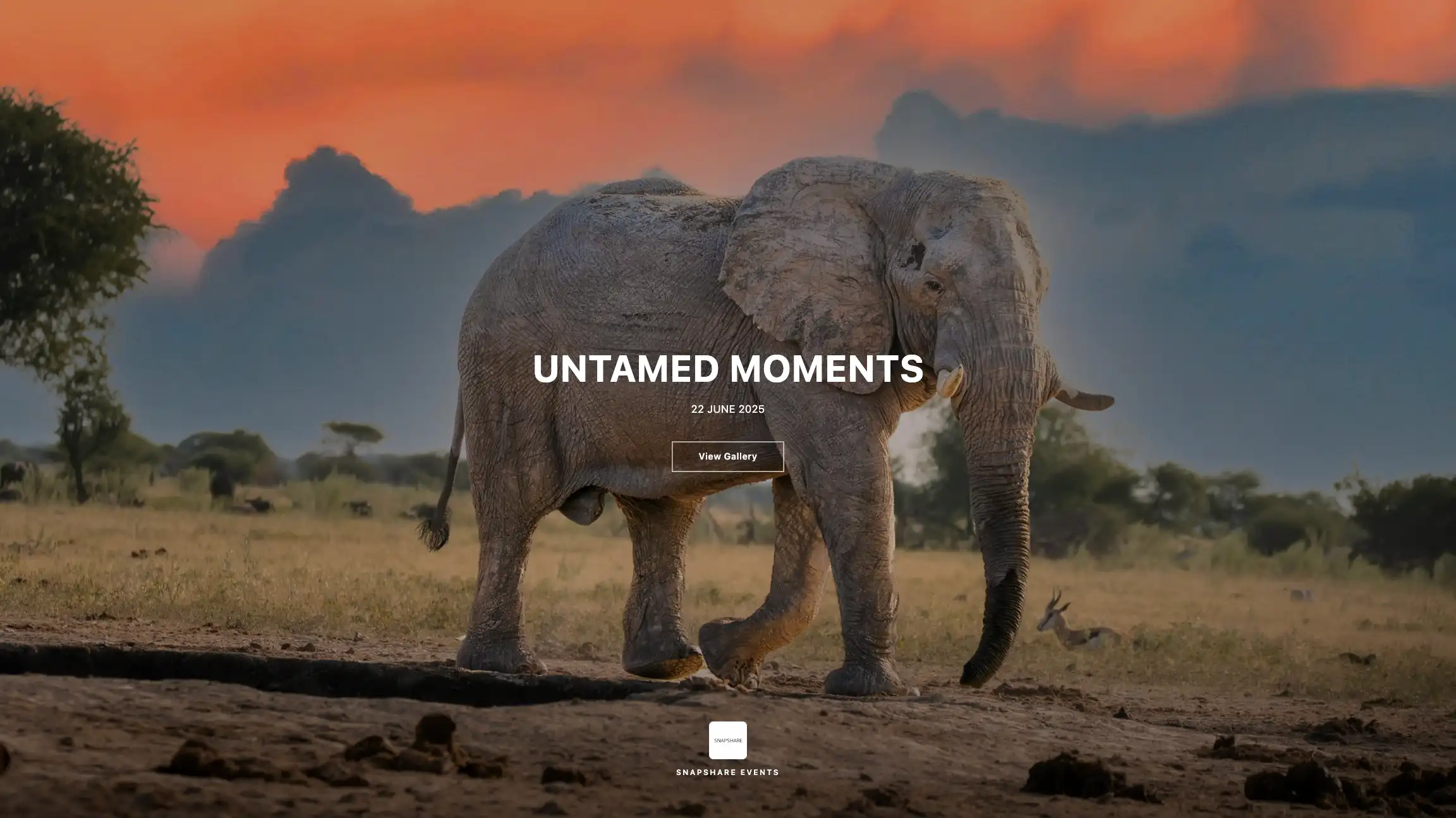 Untamed Moments