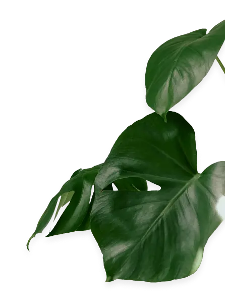 Right End Decoration